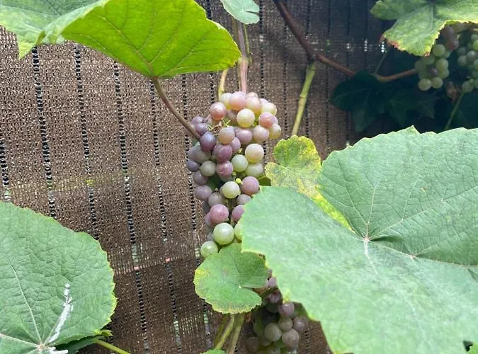 Casa Del Mar Habitación en casa particular